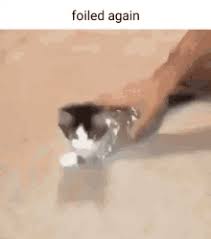 Image result for Foiled Again