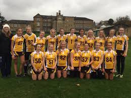 Image result for Oxshott Netball Club