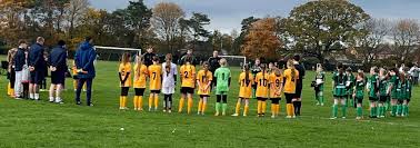 Image result for United in the Community - Boston Player Development Centres