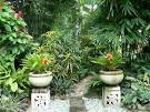 Tropical Garden,tropical Garden Design,tropical Garden Designs#8 ...
