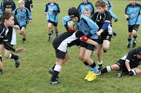 Image result for Ipswich Ym Rugby Union Football Club