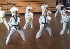 Image result for Absolute tae kwon do association