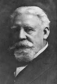 Attēlu rezultāti vaicājumam “Badhamiopsis ainoae sessile”