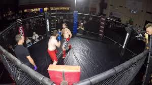 Image result for Cardiff Mma