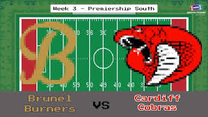 Image result for Cardiff Cobras