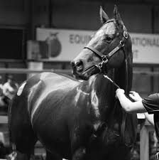 Image result for Bletchingly Badminton Club