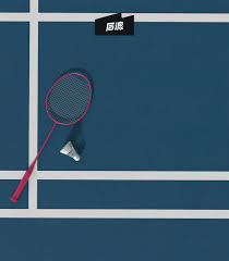 Image result for Five Towns Badminton Club