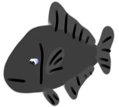 Image result for Eumegistus illustris