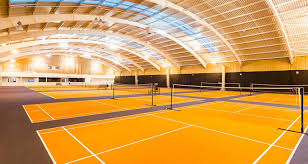 Image result for David Lloyd Senior Badminton Club