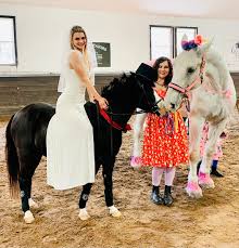 Image result for Huntingdon and District Riding Club