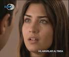 صور لميس