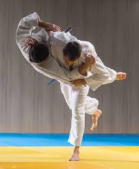 Image result for Tokei Martial Arts Club