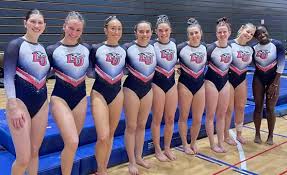 Image result for Abbey Gymnastics Club