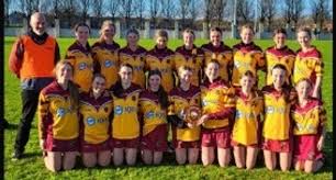 Image result for Caerbryn Association Football Club