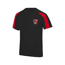 Image result for Verwood Town Netball Club