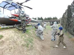 Image result for Laser Mayhem