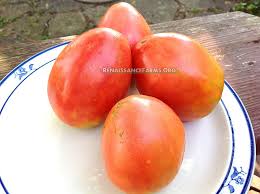 Afbeeldingsresultaat voor CDB tomato