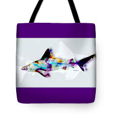 Image result for Chichester Sharks