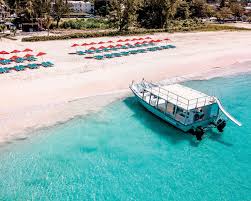 Image result for Harbour Lights Snorkelling Club (HLSC)