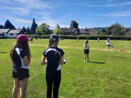Image result for Whittington Cricket Club