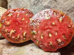 Afbeeldingsresultaat voor 1884 purple tomato