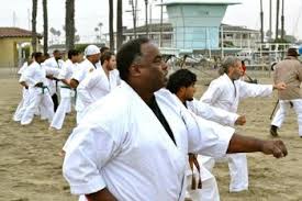 Image result for Sandokai Karate