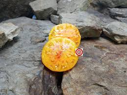 Afbeeldingsresultaat voor northern lights tomato