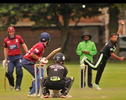 Image result for North Down Cricket Club