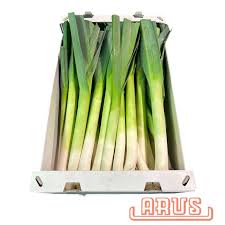 Image result for Porree