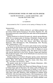 Attēlu rezultāti vaicājumam “Galium schultesii fruit”