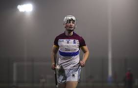 Image result for University Of Limerick Gaa Hurling Club