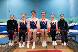 Image result for Swallows Trampoline Club