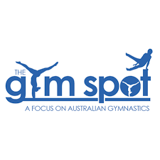 Image result for Focus Institute of Gymnastics