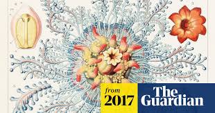 Image result for ernst haeckel