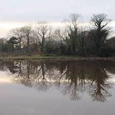 Image result for Carrickfergus Bowling Club