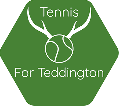 Image result for Teddington Table Tennis Club