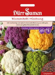 Image result for Blumenkohl