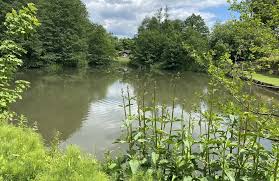 Image result for Reigate Priory Bowmen