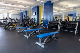 Image result for Angmering School Of Gym