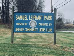 Image result for Brogue: Community Edition