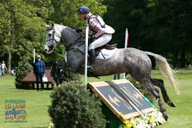 Image result for Jp-Sheffield Eventing