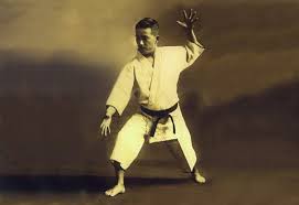 Image result for Ji Shin Do Karate