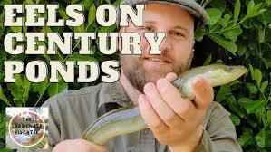 Image result for Bathampton Angling Association