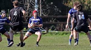 Image result for Lowestoft and Yarmouth Rugby Union Football Club