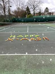 Image result for Wishel Lawn Tennis Club