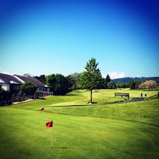 Image result for Peebles Golf Club