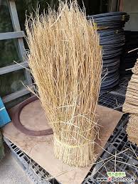 Image result for 붶