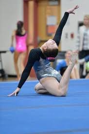 Image result for Fish trampoline and gymnastics club