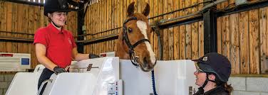 Image result for Cambridge University Riding Club