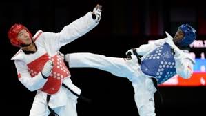 Image result for Cornwall Tae Kwon-Do